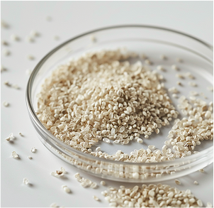 Bioplastics & Composites